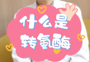 【名醫(yī)面對面之消化100問】什么是轉氨酶？